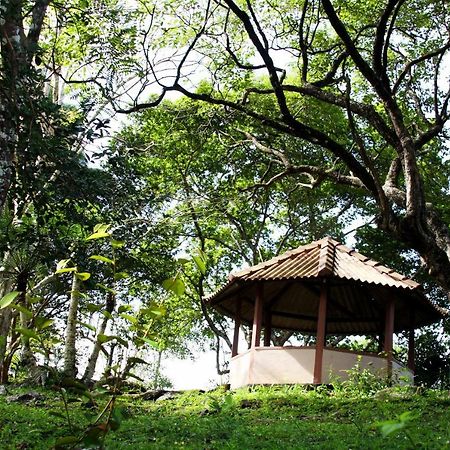 Rajanawa Resort Ratnapura Bagian luar foto