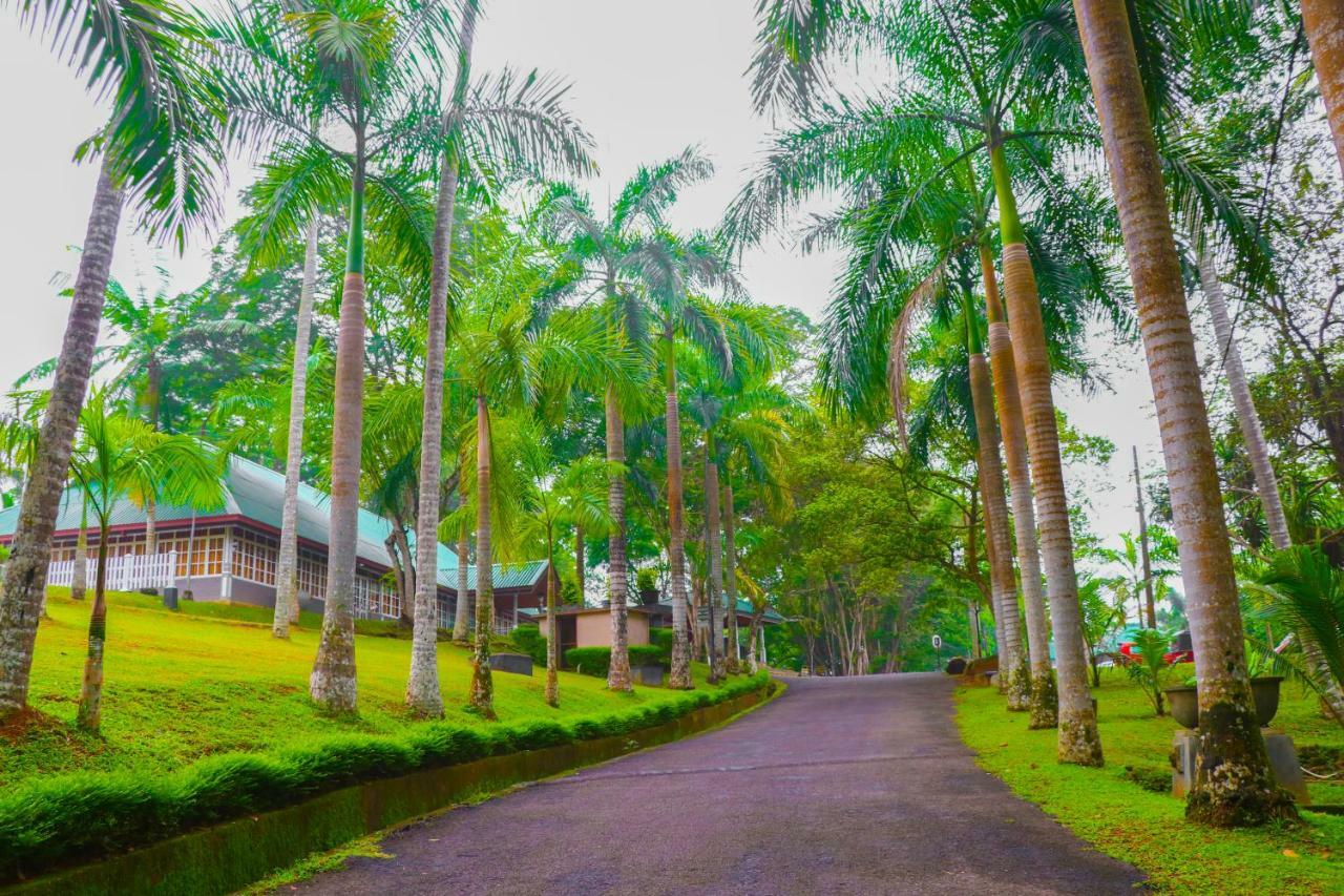 Rajanawa Resort Ratnapura Bagian luar foto
